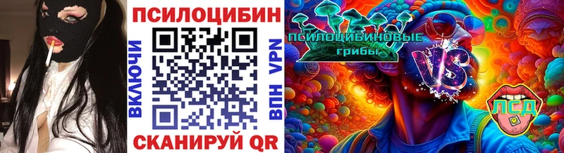 Псилоцибиновые грибы Psilocybe  Бокситогорск 